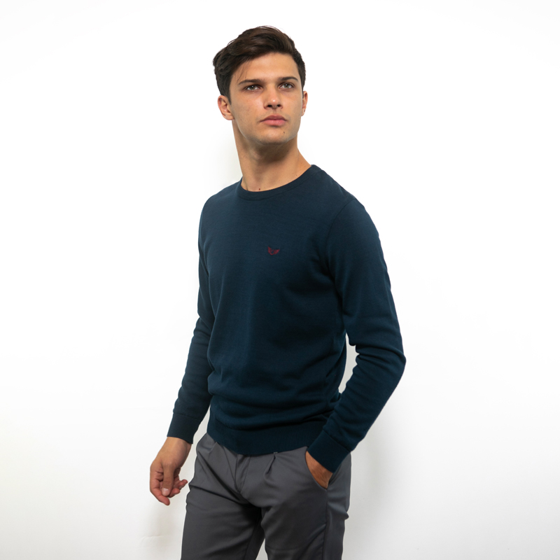 cl01-xp05-bluewing-3