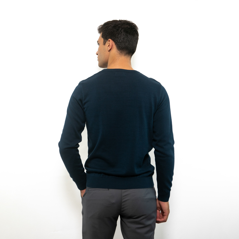 cl01-xp05-bluewing-4